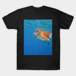 Green Turtle With Surface Reflections T-Shirt